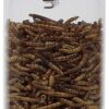 Perky-Pet 388F Dried Mealworm Bird Feeder with Flexports