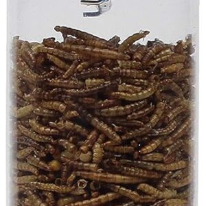Perky-Pet 388F Dried Mealworm Bird Feeder with Flexports