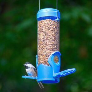 Alternative view of Perky-Pet 388F Dried Mealworm Bird Feeder with Flexports